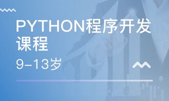 重慶南坪軟件開(kāi)發(fā)培訓(xùn)指南 課程、選擇與職業(yè)發(fā)展